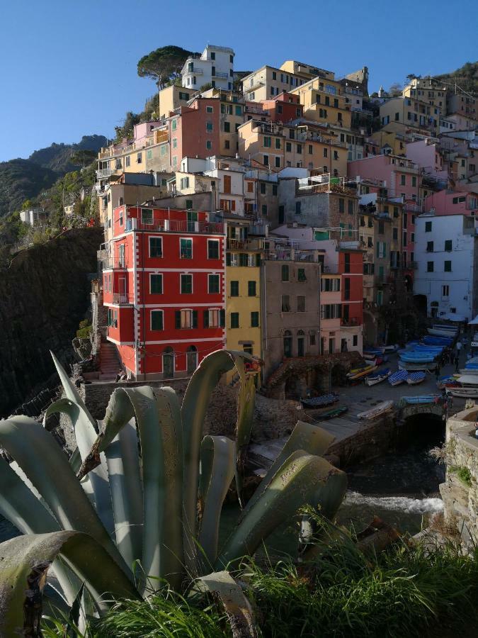 Il Giardino Di Riomaggiore Suite Екстериор снимка